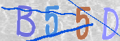 キャプチャ画像