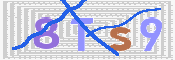 キャプチャ画像
