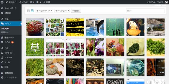 WordPressのメディアライブラリに登録したはずの古い画像を探す