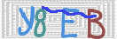 キャプチャ画像