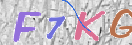 キャプチャ画像