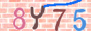 キャプチャ画像