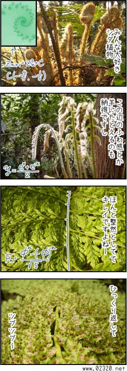 シダの葉の数学