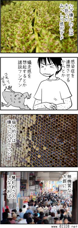 蓮コラ トライポフォビアの落とし穴