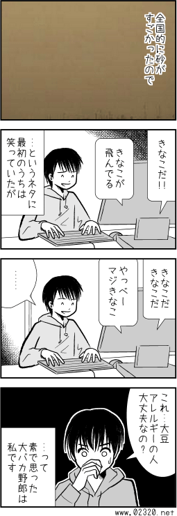 はれ、ときどき、きなこ