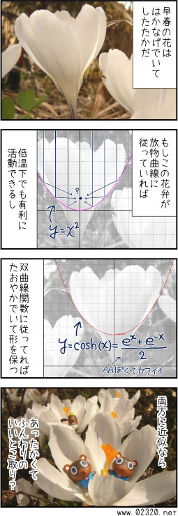 ∫f(x)dx = クロッカス?