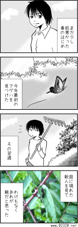 アゲハチョウの幼虫