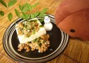 ヒマだったから納豆菌とクマムシを対決させてみた