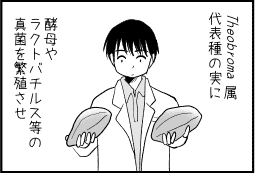 【バレンタインとかチョコとか言ってもカカオがカビたものだしね】