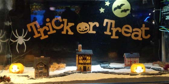 Trick or Treat と伝説の軒ビーム