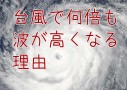 危険！台風のとき海で高波が起きる理由とメカニズム