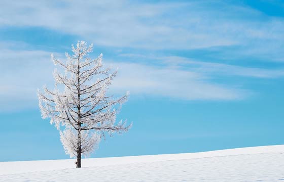 100度のお湯と0度の氷を同量混ぜたら50度に…なんねーよ！