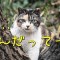 な、なんだってー!?