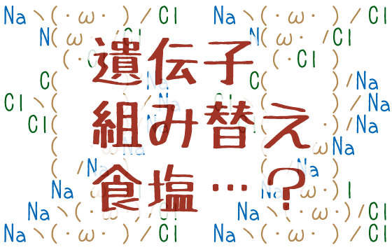 遺伝子組換え食塩の可能性を考える