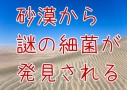 もしや地球外生命体？サハラ砂漠から極小の細菌が発見される！