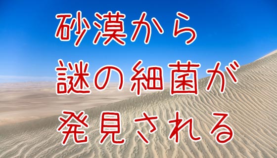 もしや地球外生命体？サハラ砂漠から極小の細菌が発見される！