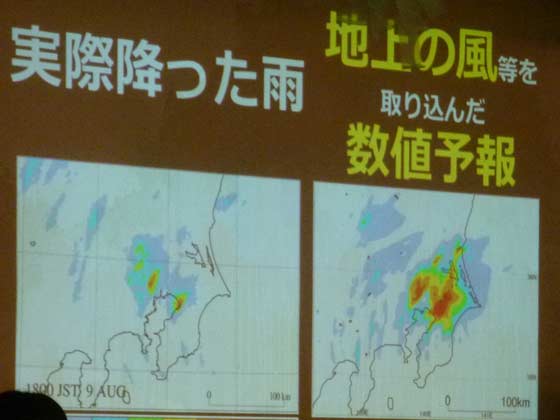 虫によって可視化される雨雲