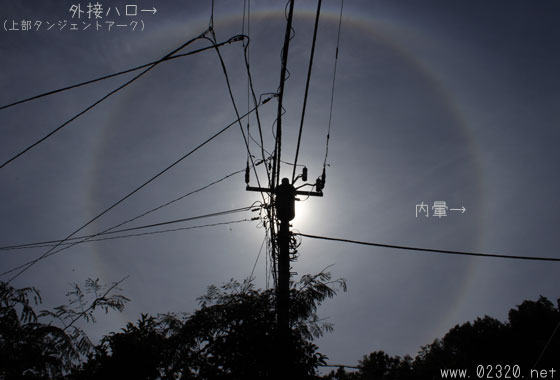 太陽のまわりに丸い虹が見えたら超ラッキー 変な虹の探し方