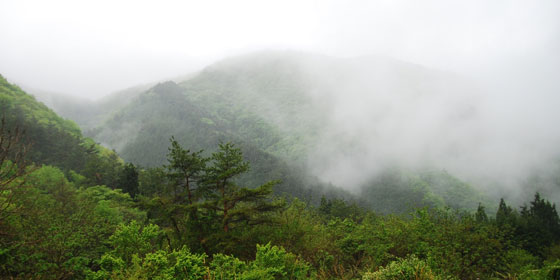 層雲・霧雲