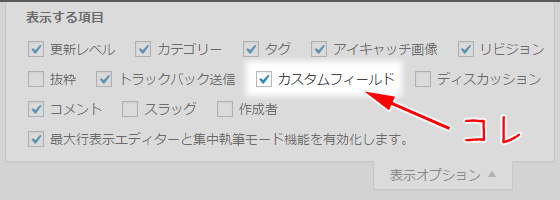 WordPress編集画面のカスタムフィールド欄の表示方法