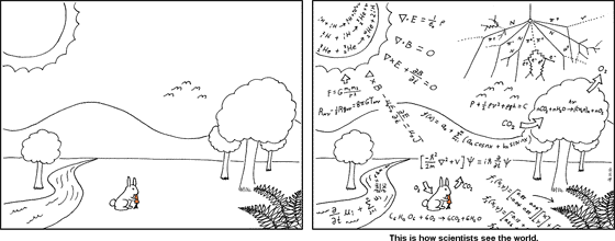 科学者が見ている世界