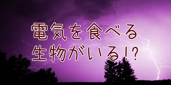 「電気を食べて生きる微生物」の何がスゴイか判らない全ての人へ！