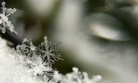 雪の結晶