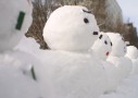 大雪警報が新基準に！都会特有の雪害事例から関東の大雪に備える