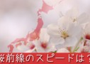 桜前線の北上スピードは時速どれくらいか計算してみた