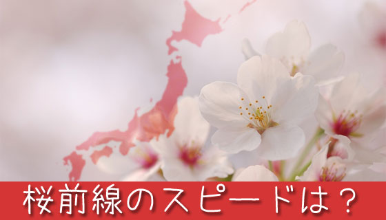 桜前線の北上スピードは時速どれくらいか計算してみた