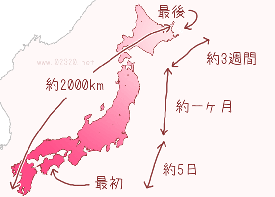 桜前線の評価区間