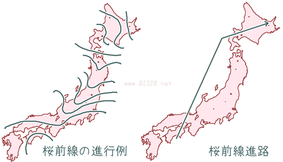 桜前線の模式図